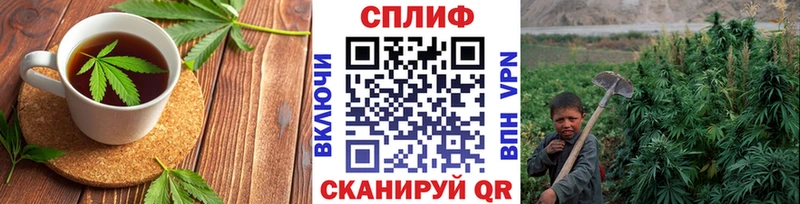 Canna-Cookies марихуана  Купить  Лысково 
