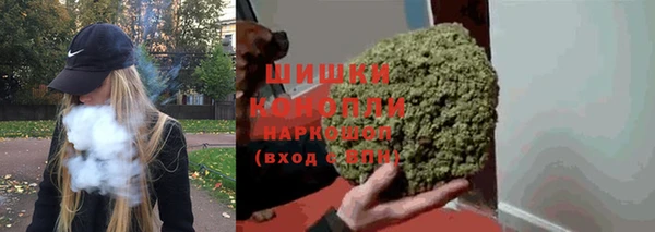 ECSTASY Инсар