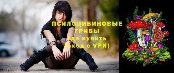 соль ск Иннополис