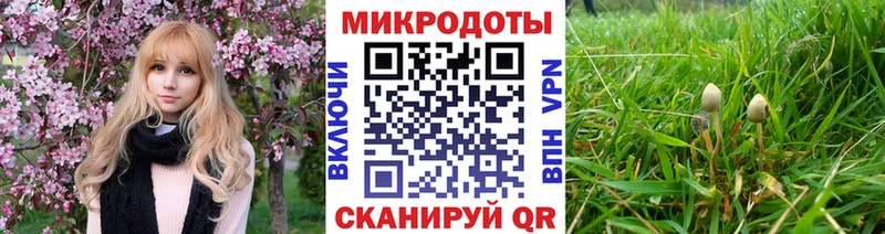 Галлюциногенные грибы мицелий  Купить  Лысково 